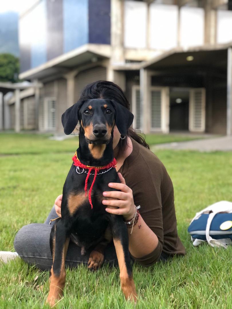 whatsapp image 2025 11 17 at 1.31.02 pm