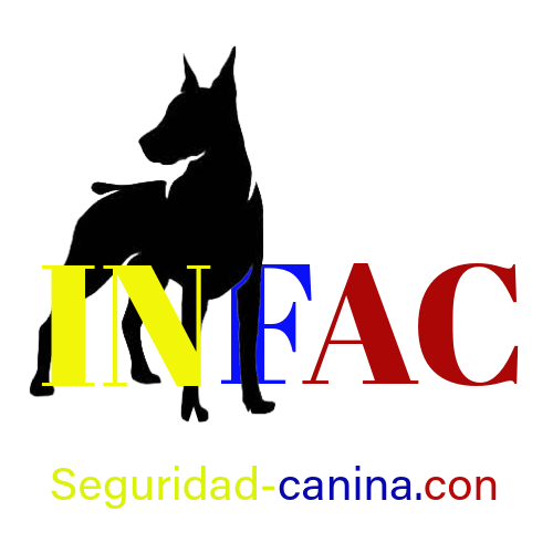 logo png estrellas abajo y letras con color