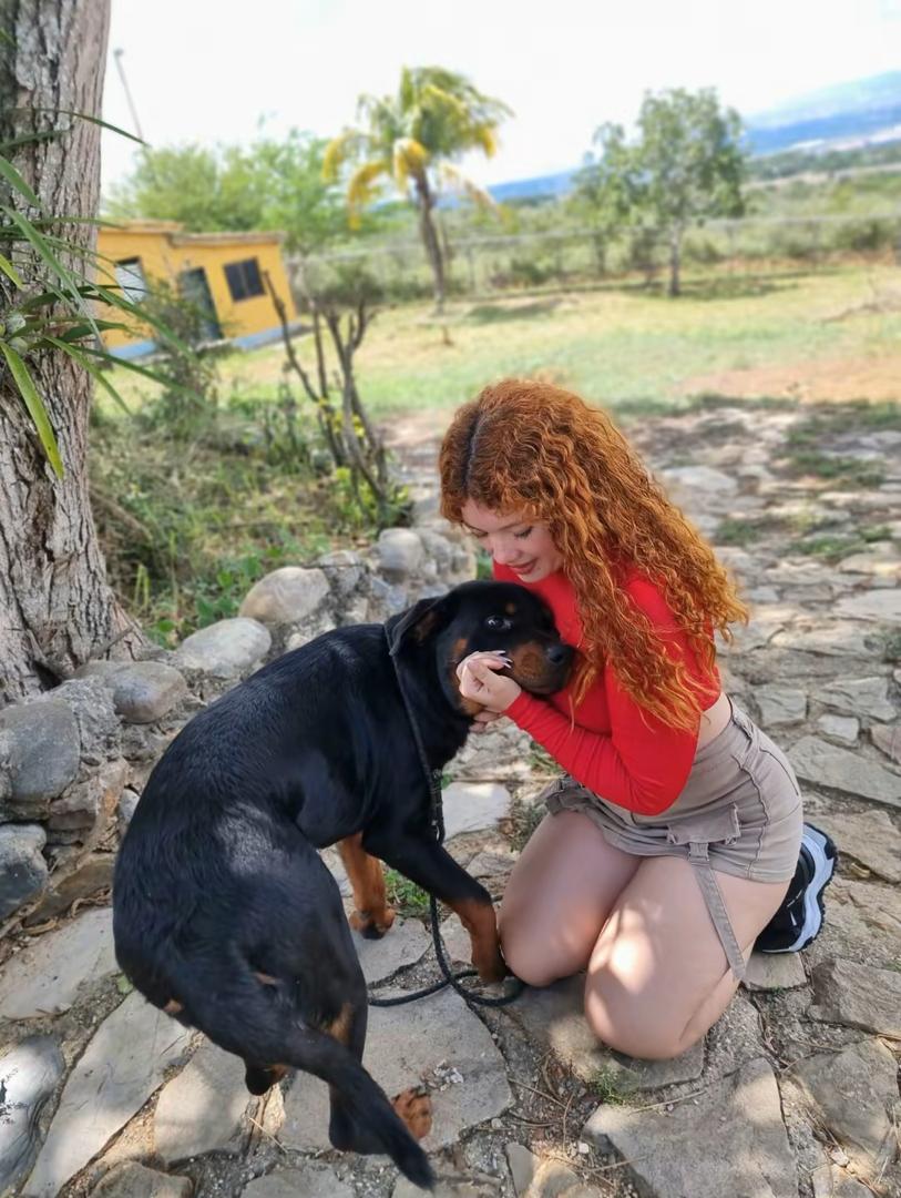 whatsapp image 2025 12 04 at 11.12.57 am (1)